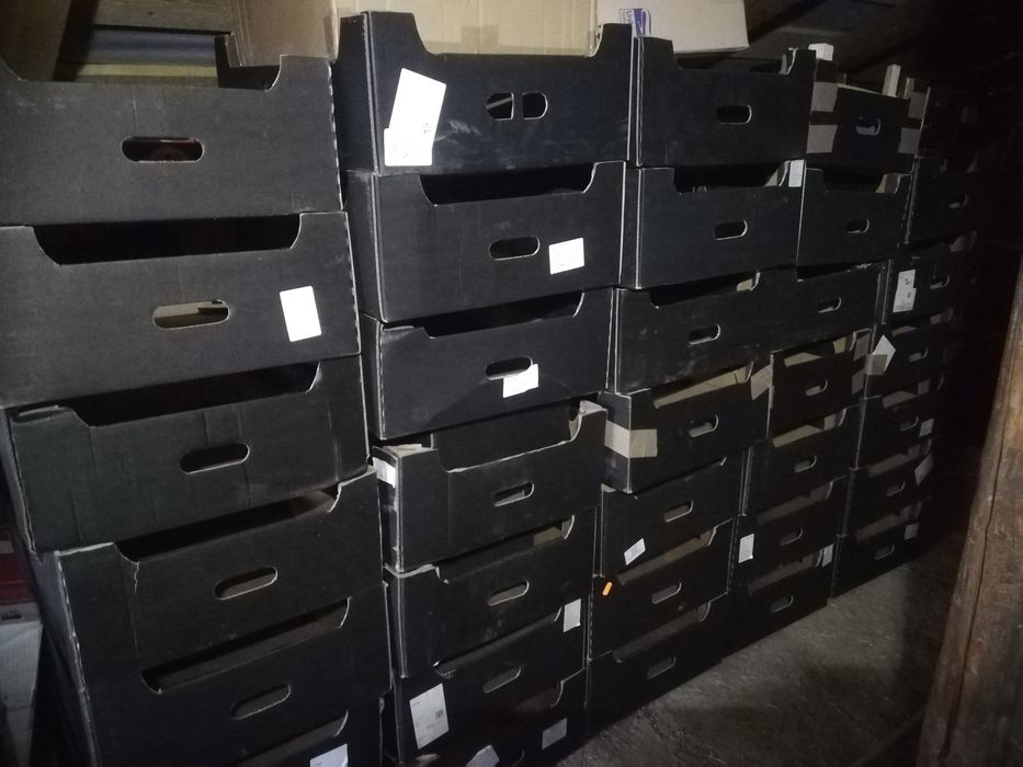 Cutii de cartoane pentru mere .