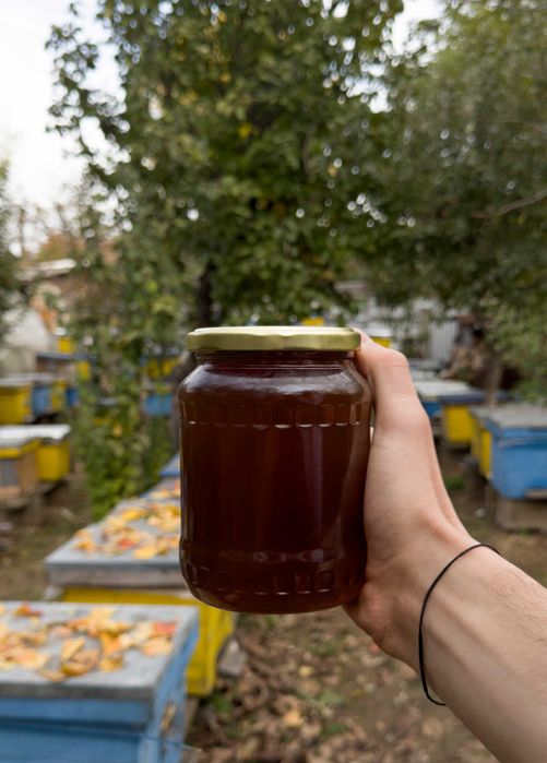 Vând miere de mană 100% naturală - 2025 - stupină proprie