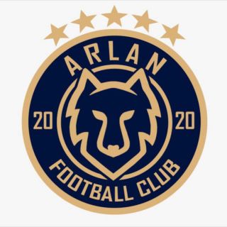 Футбольная школа ARLAN набирает детей от 11 до 12 лет!