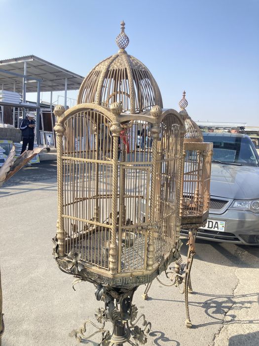 Papugaylar uchun qafas