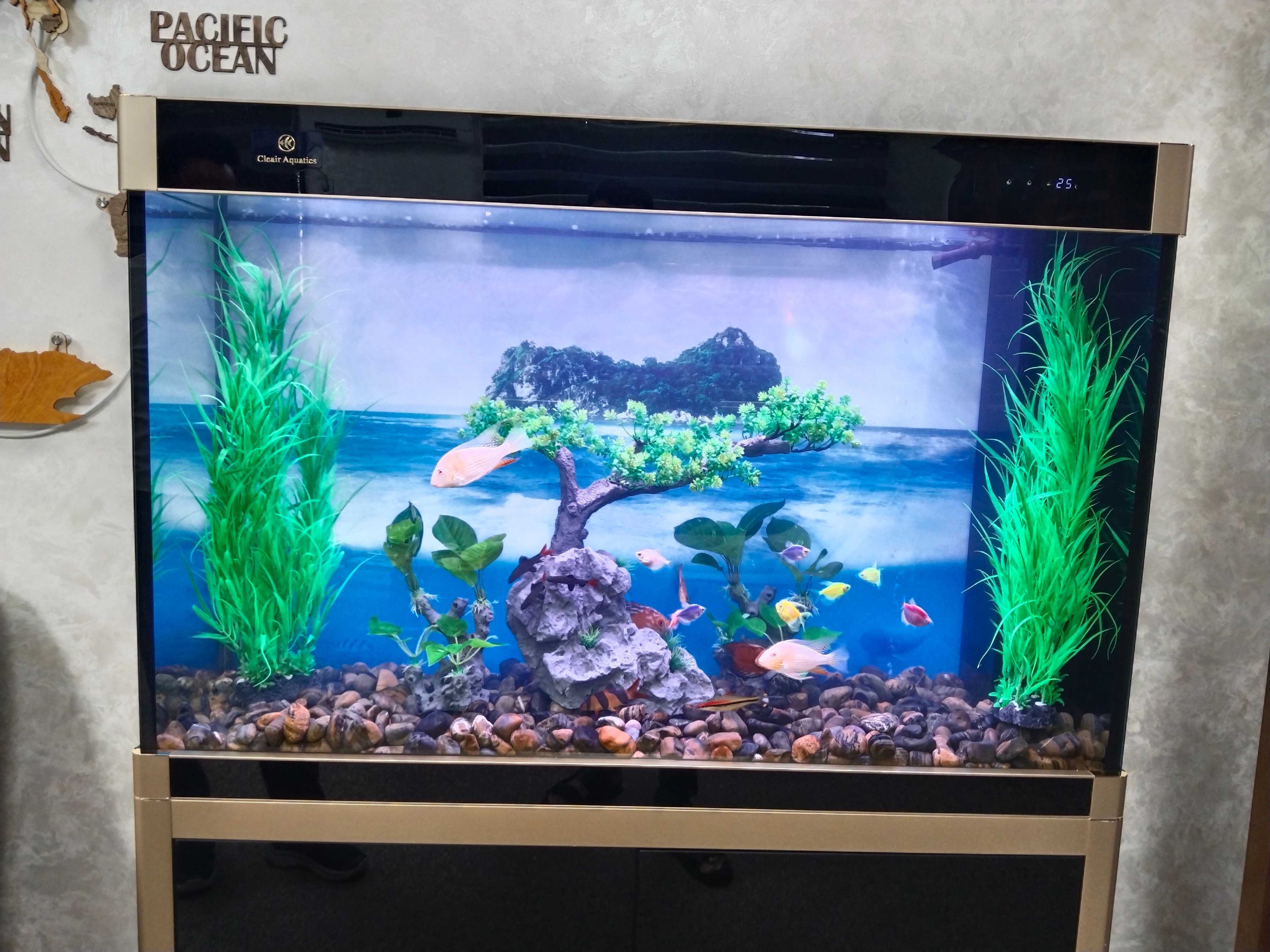 Профессиональная чистка аквариума AQUALIFE