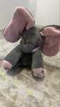 Elefant Peek a Boo