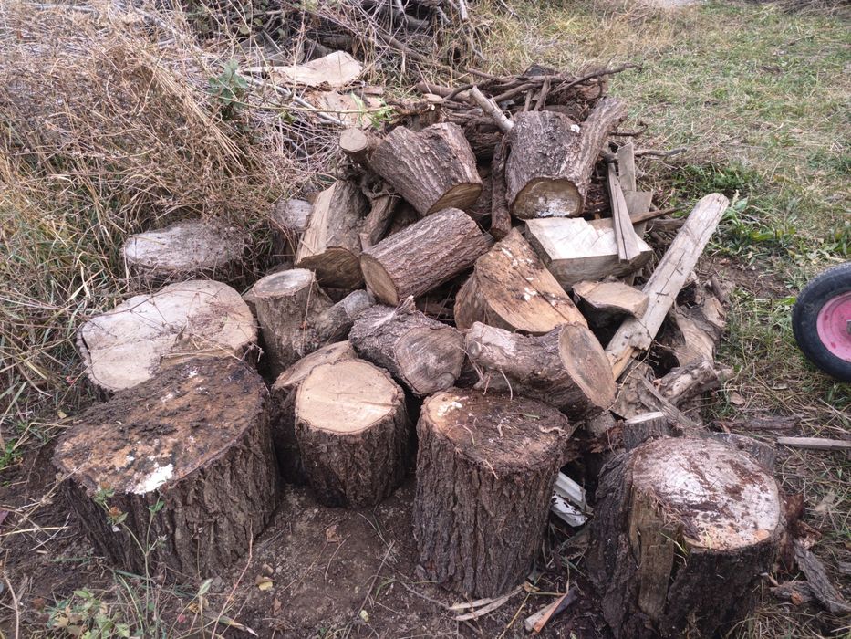 Дрова бесплатно,