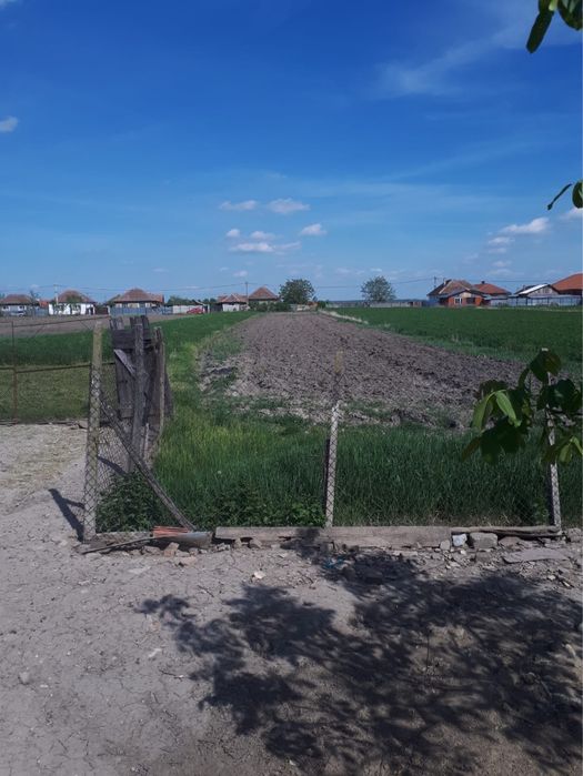 De vanzare casa la tara