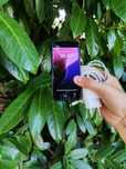Гаранция/При интерес, МОЛЯ обадете се iPhone SE2020