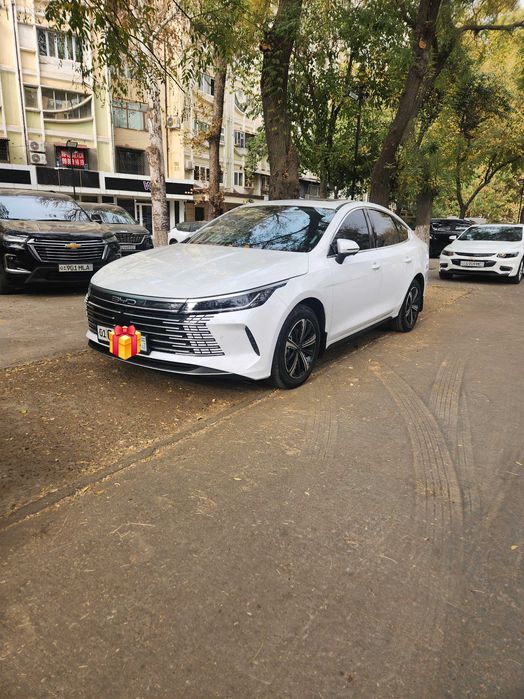 BYD Chazor 2023 / 4 poz