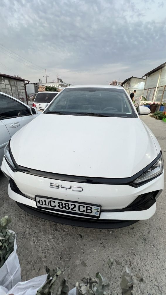 Byd e2  год выпуска 2024