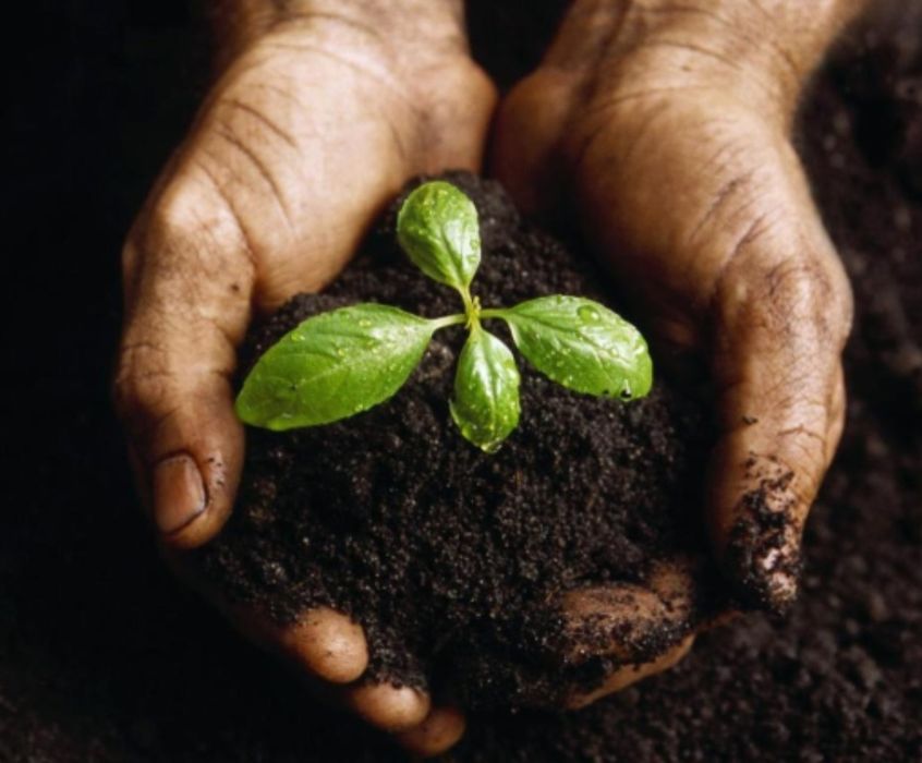 Биогумус 100% натуральный