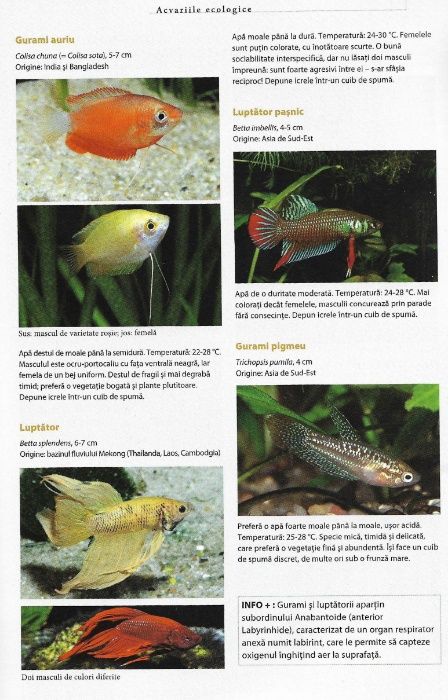 Super carte despre acvaristica si pestii exotici de acvariu