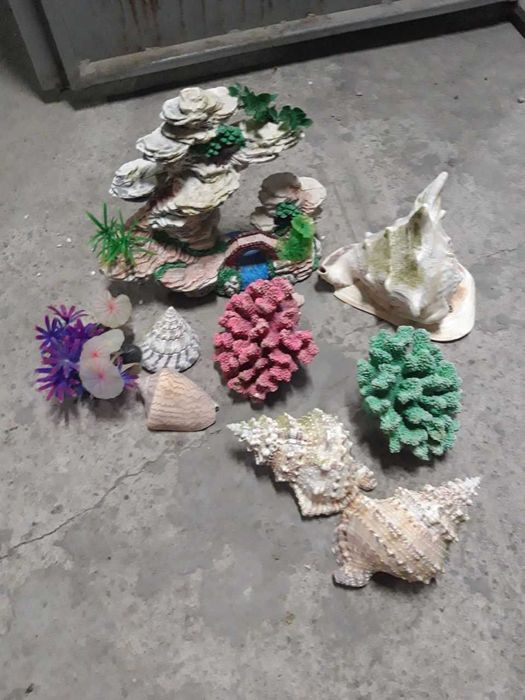 Akvarium sotiladi xolati Alo