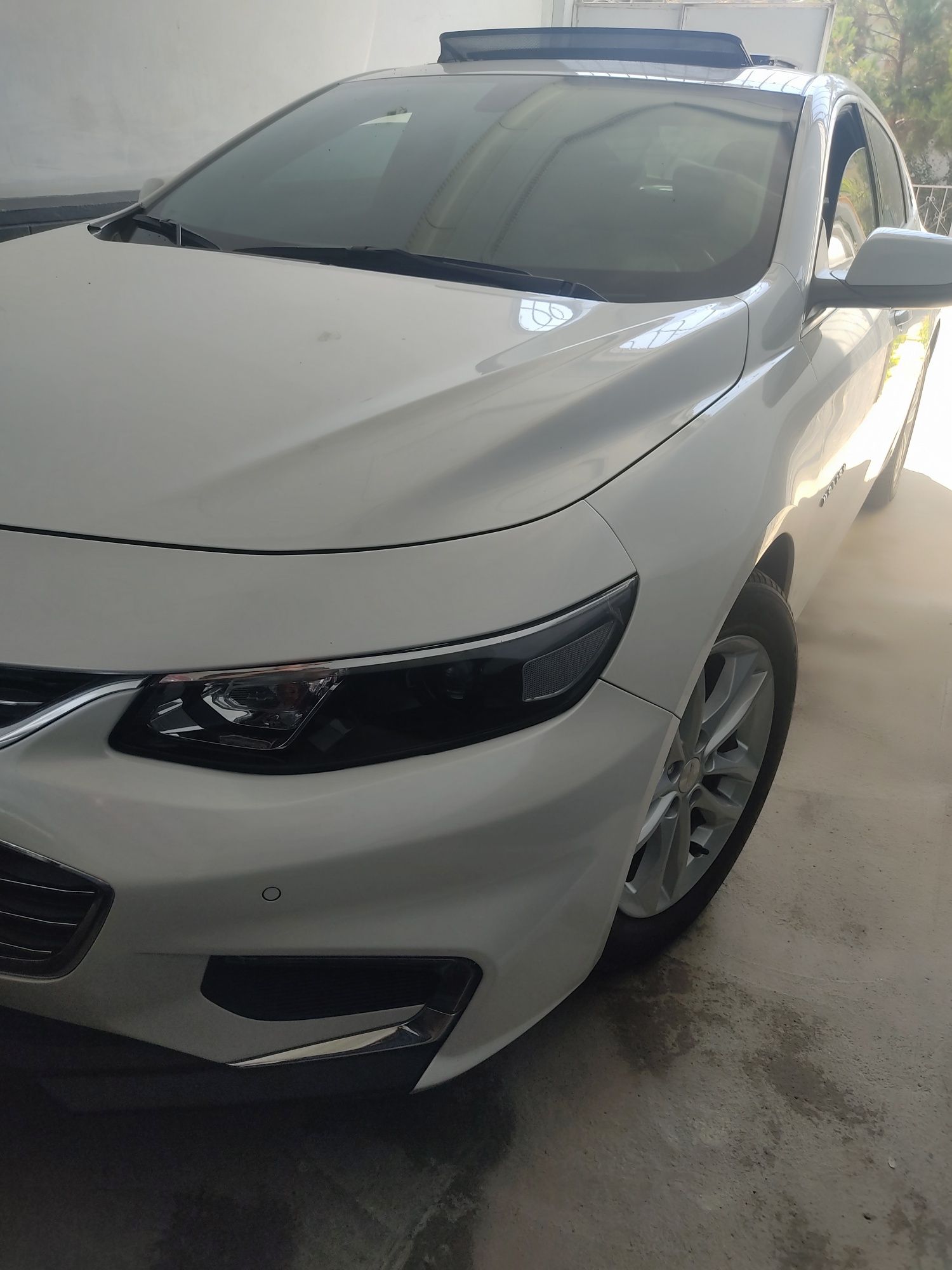 Malibu 2 turbo Beliy wemchuk