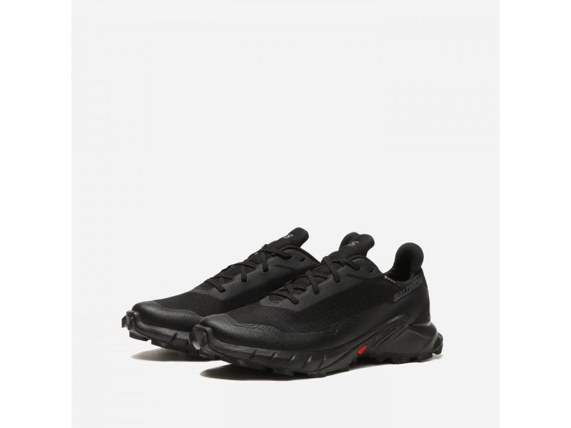 Salomon Alphacross 5 Gore tex  размери - 44 2/3