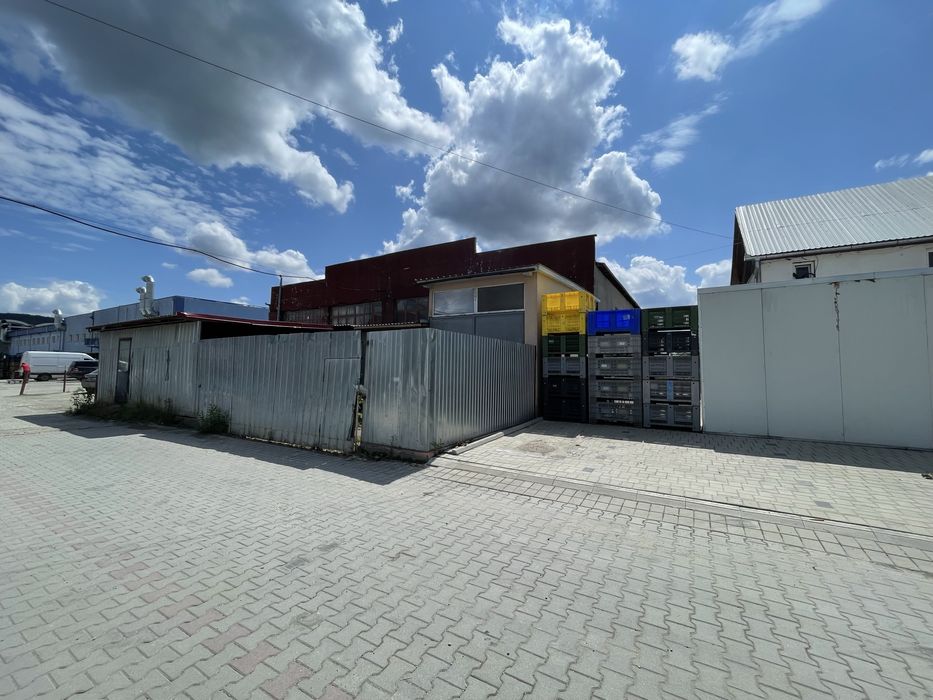 Ocazie! Hala de vanzare, Cibela.
