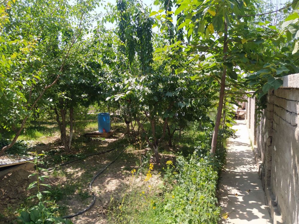 Продаётся своя дача Паркент
