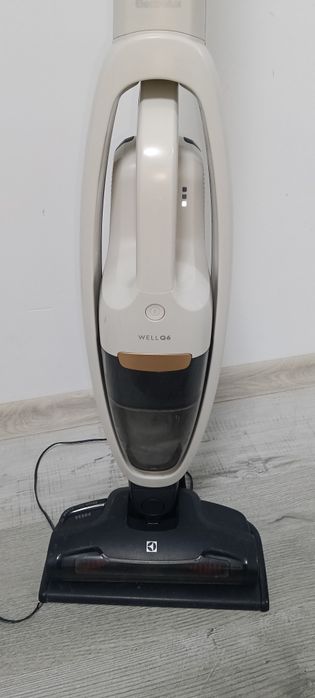 Aspirator 2 in 1 Electrolux well Q6