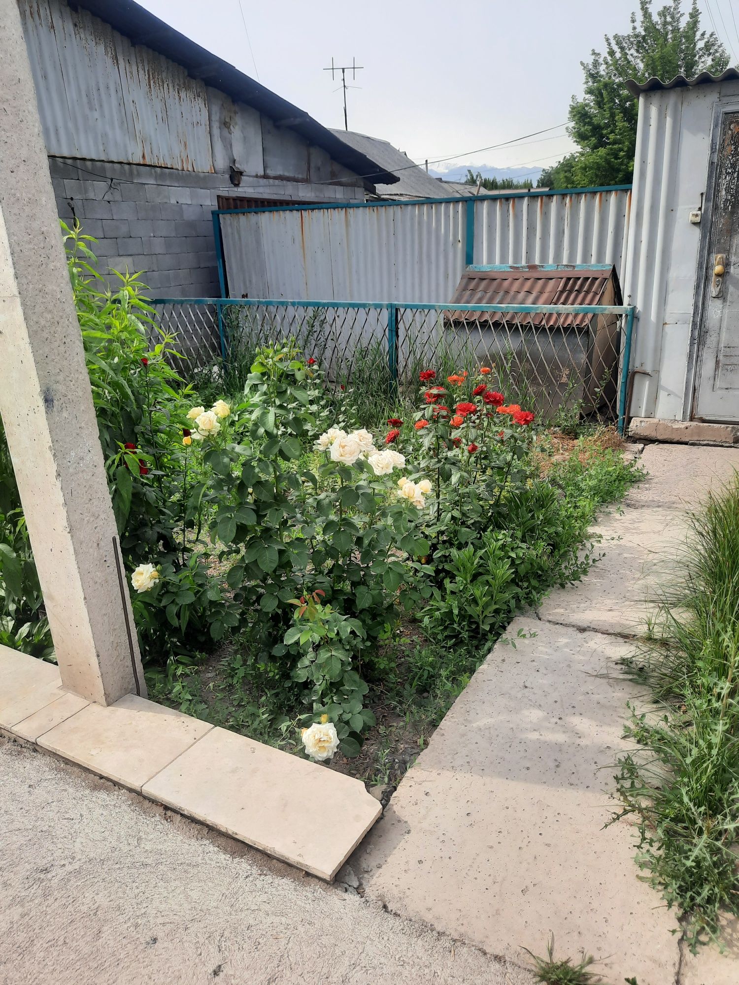 Продам дом из 7 комнат  120 кв