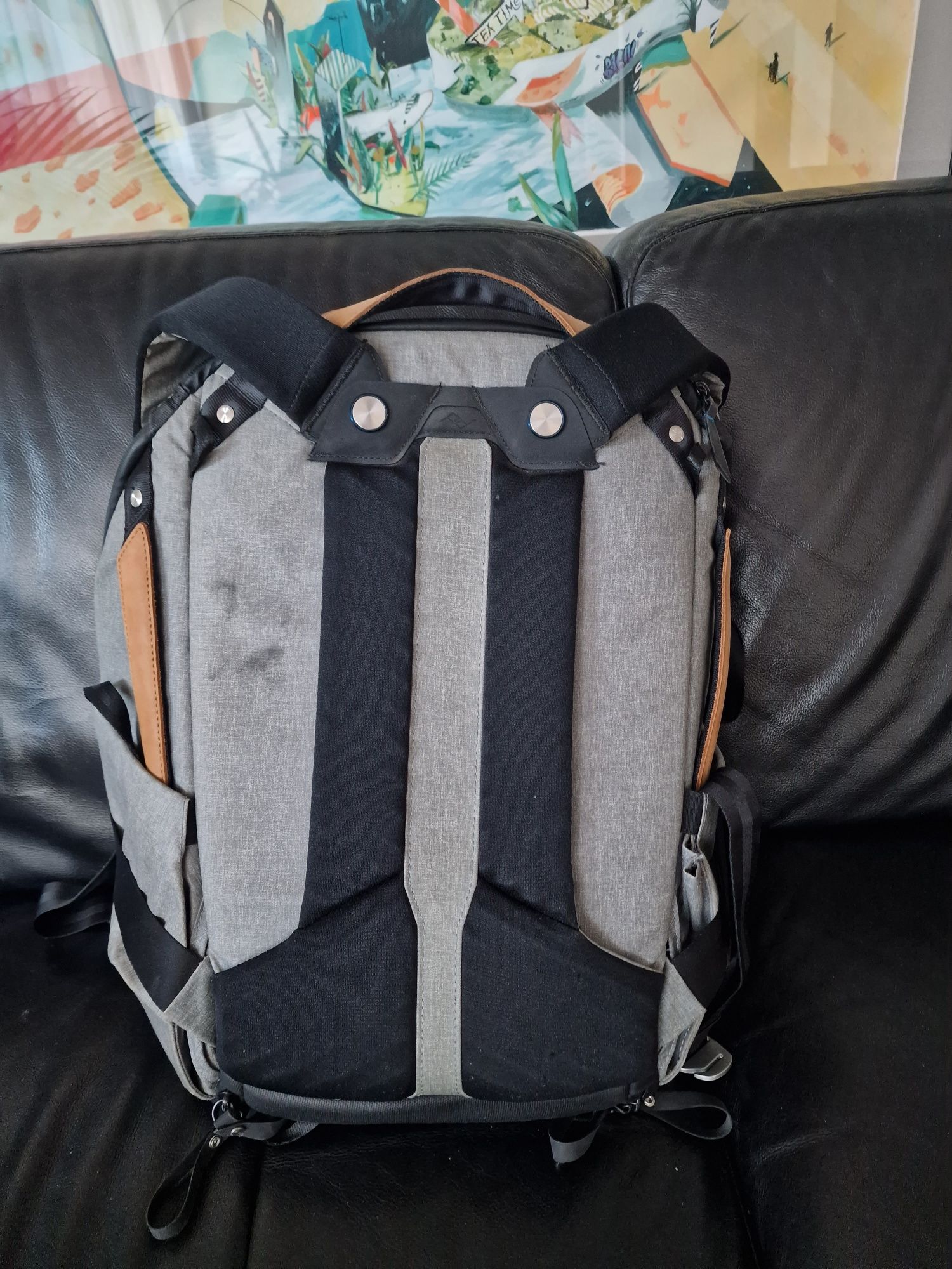 Rucsac foto Peak design everyday backpack 20L gray