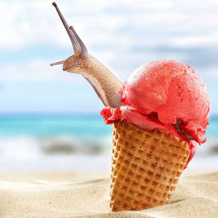Servicii de grafica, Editare, Logo Design, Materiale promotionale