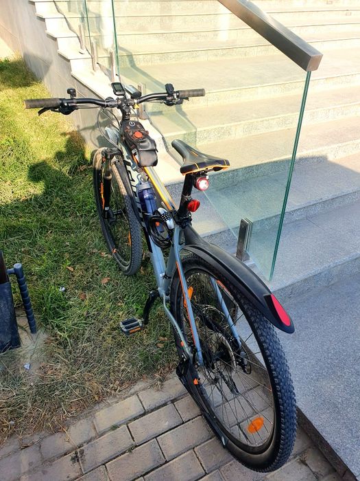 Giant talon 3, 29, L