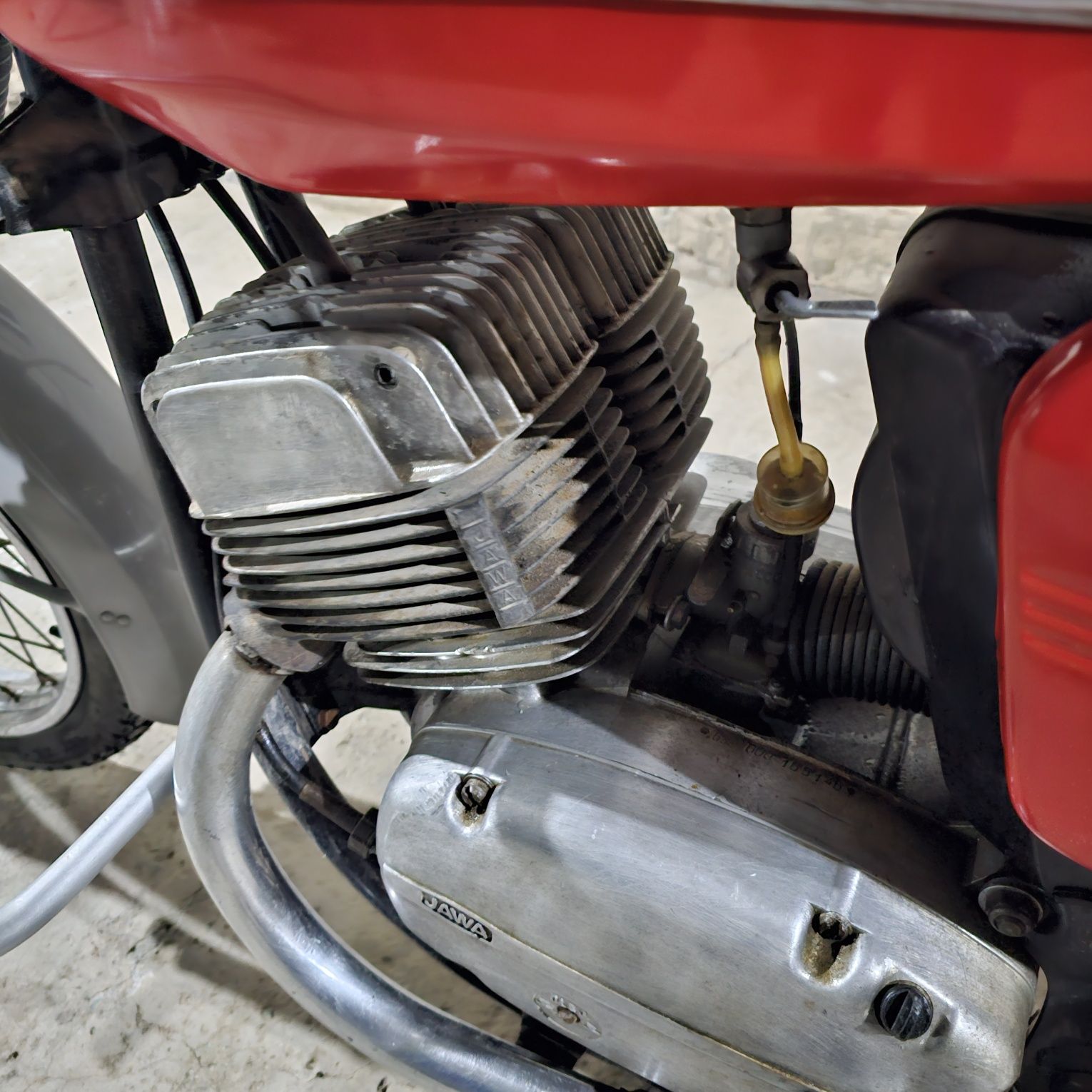Jawa 1981 - yil .