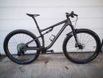Specialized Epic S-WORKS 29