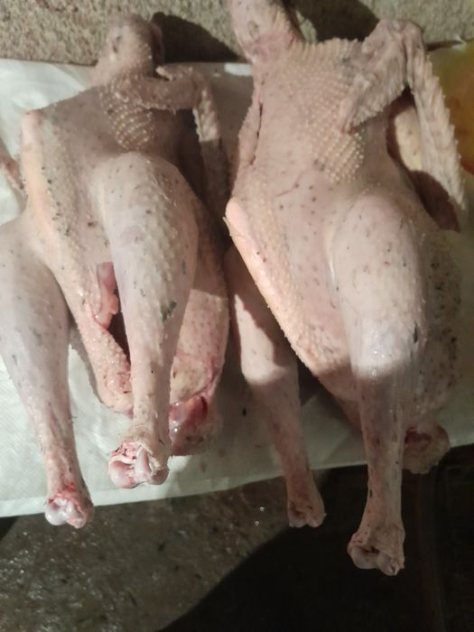 Мясо индюков, утки продаем