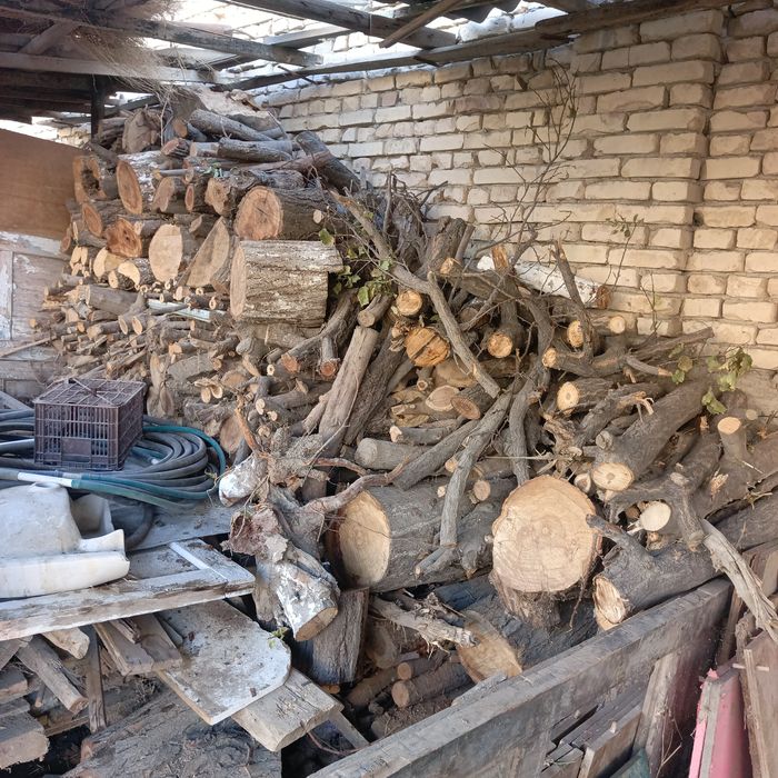 Утин мевали дарахт