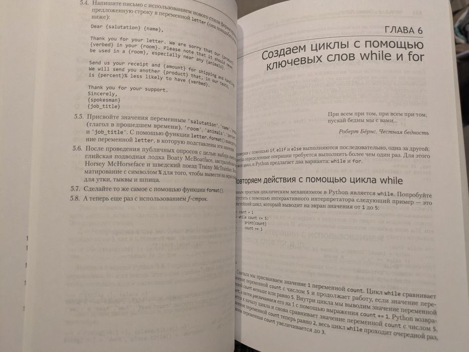 Книга - простой Python