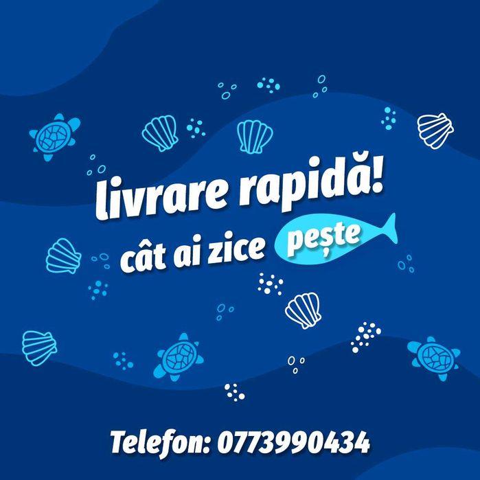 Video Editor (Youtube/TikTok) & Grafic Designer (Photoshop)