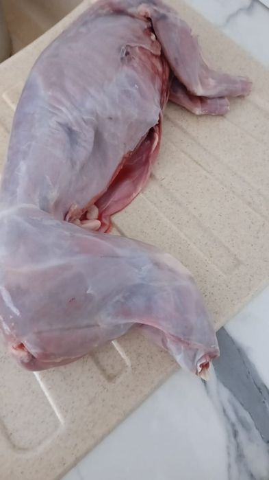 Продам зайца,только вчера привез с охоты .