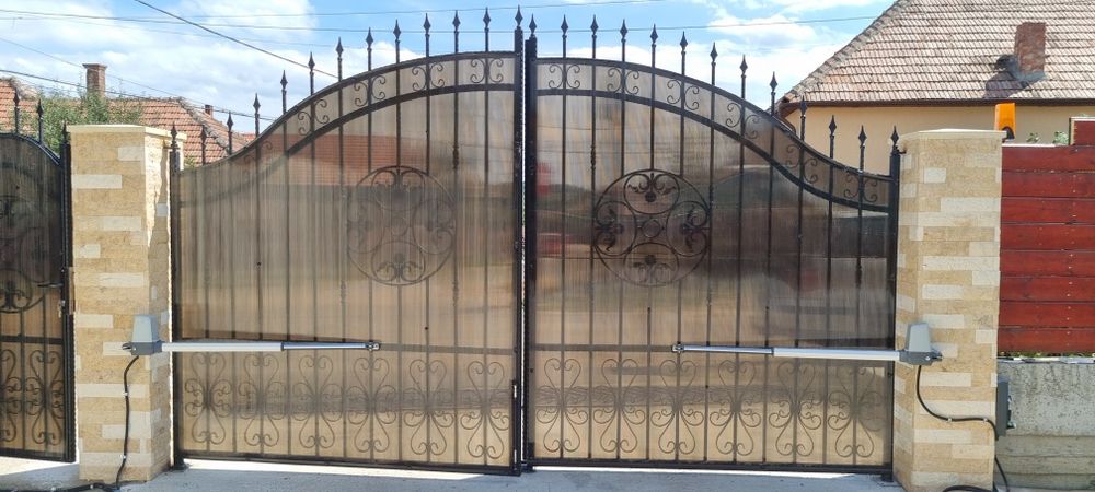 Automatizare batanta Tmt Terrier