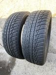 2 бр. 215/55/18 Nokian WR SUV3