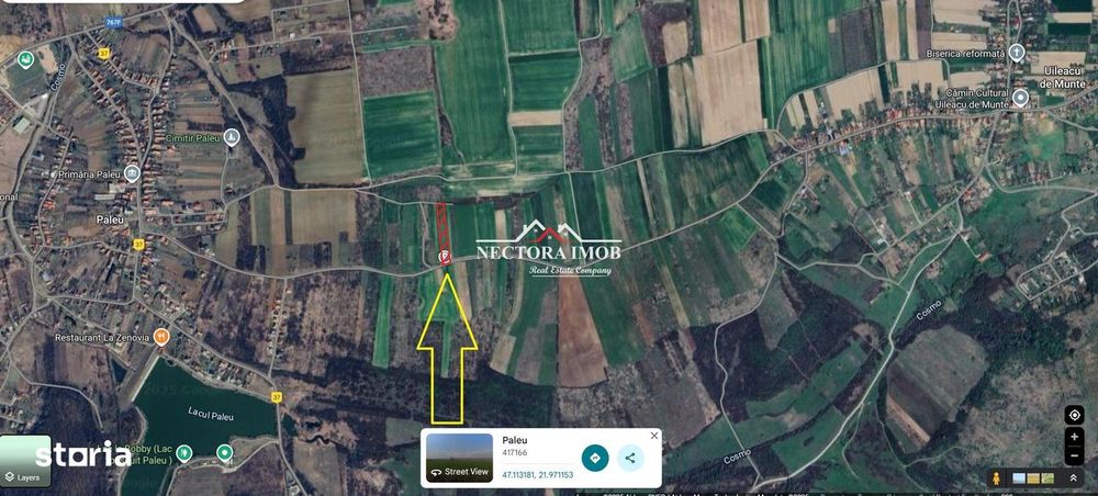 NECTORA IMOB-Teren Saldabagiu de Munte, aproape de Lac Paleu, 2880mp