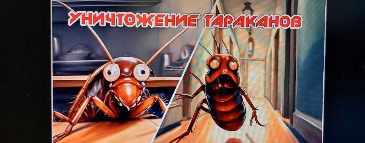 предоставляем услуги   обработка от тараканов