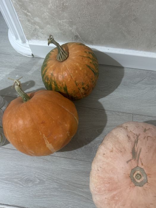 Тыквв дачная 1 кг 800 тенге