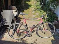 Bicicleta cursiera sosea Raleigh Triathlon