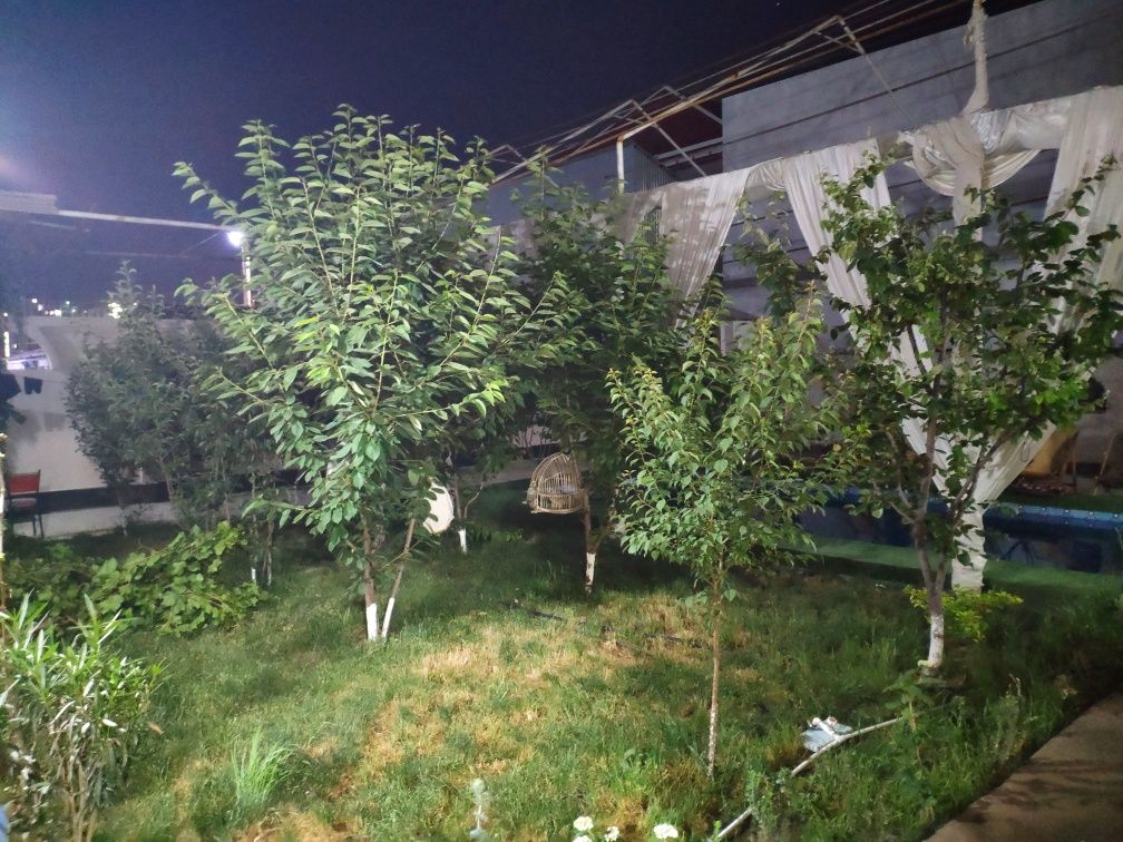 Дача арендага берилади 8:00 дан 20:00 гача