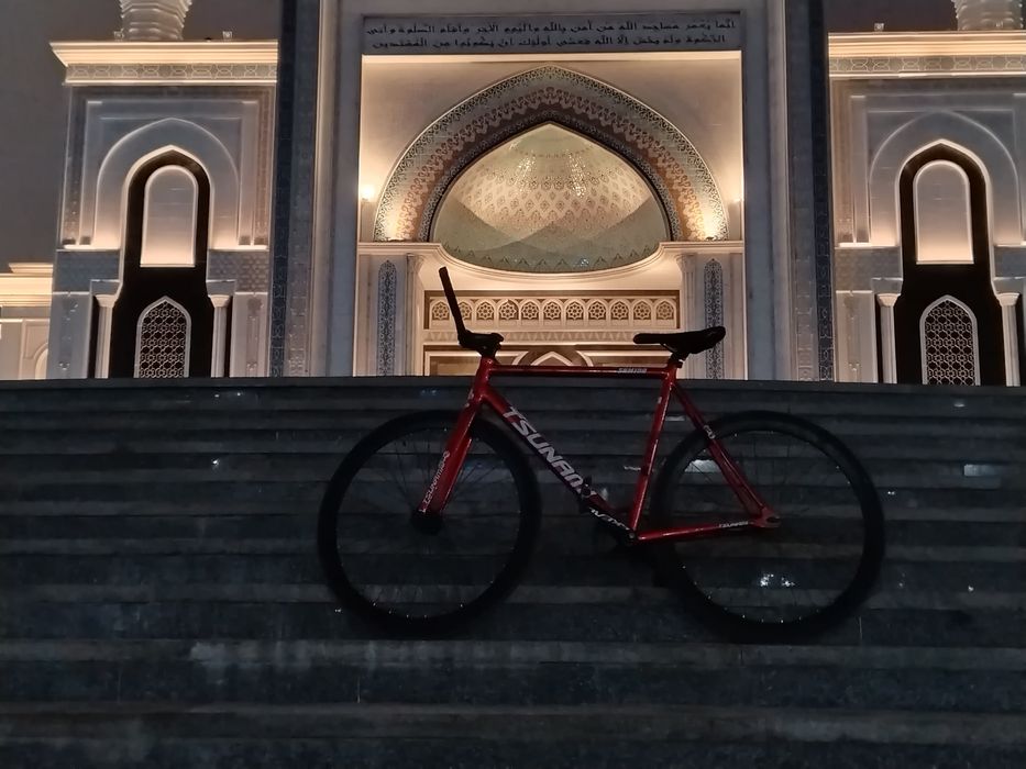 Tsunami snm100 красный цвет