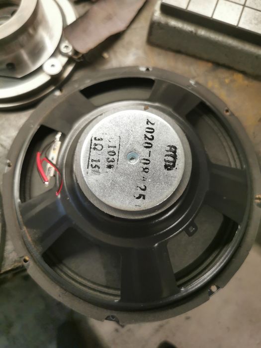 Говорители 10 инча  (тонколони)