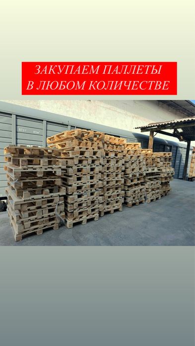 Закупаем паллеты поддоны / Принимаем палеты подоны