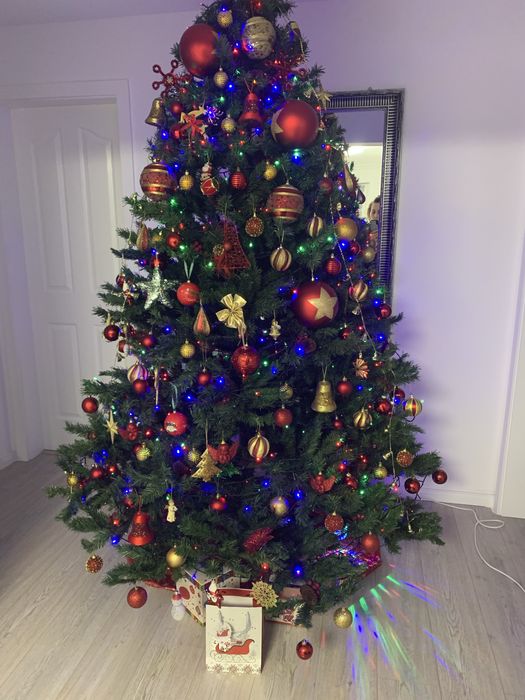 Brad cu conuri si fructe rosii 2,3 m