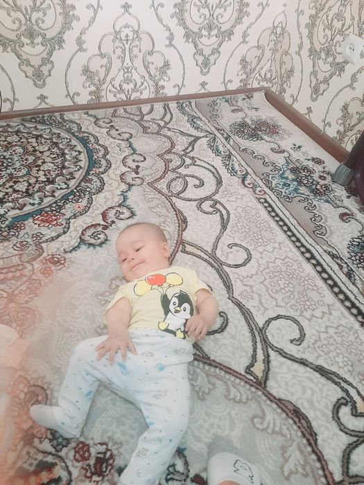 Kvartira ijaraga ttz1 bez makler