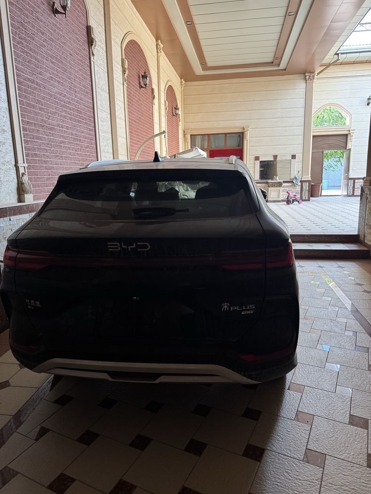BYD chempion Full Smart Natarus tayor