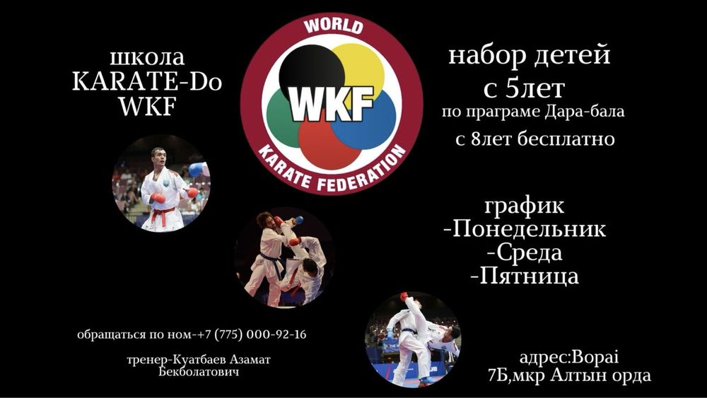 Секция каратэ WKF