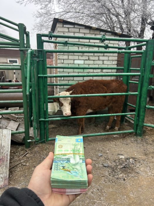 Жарнама хабарласамыз