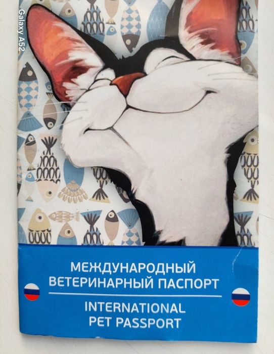 Прадажа кошка С. Фолд