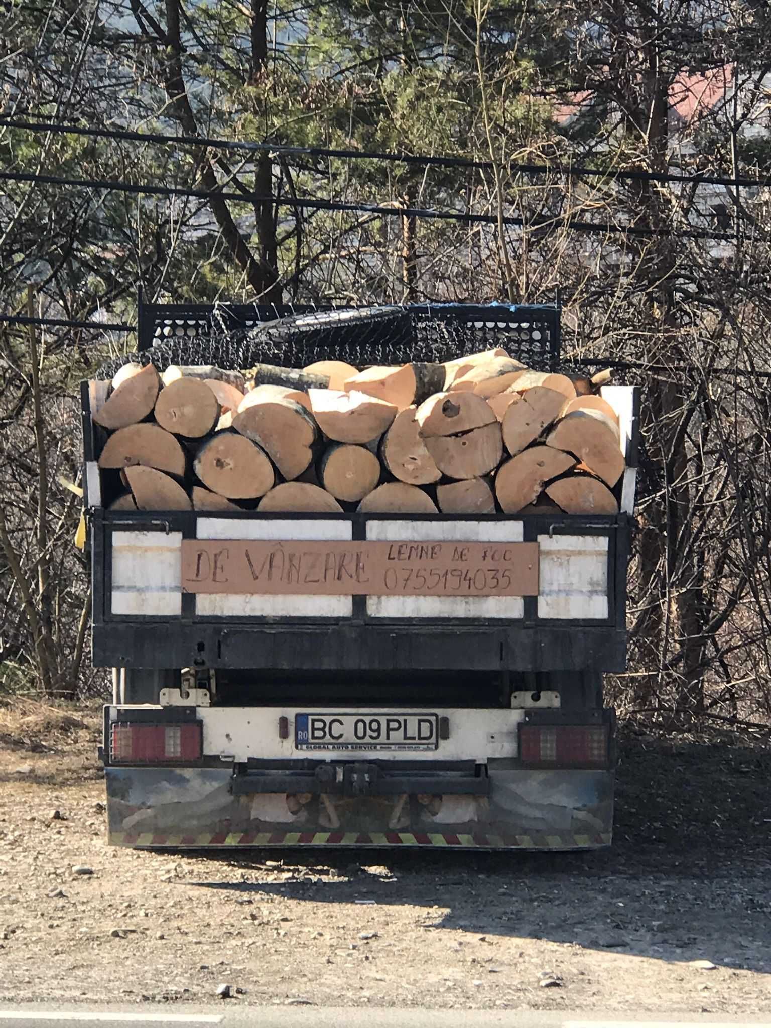 Lemne de foc de fag - calitate superioara