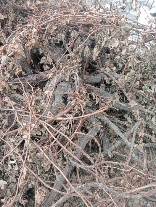 Утин сотилади. ток Кунда