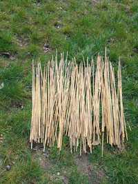 Бамбукови пръчки
