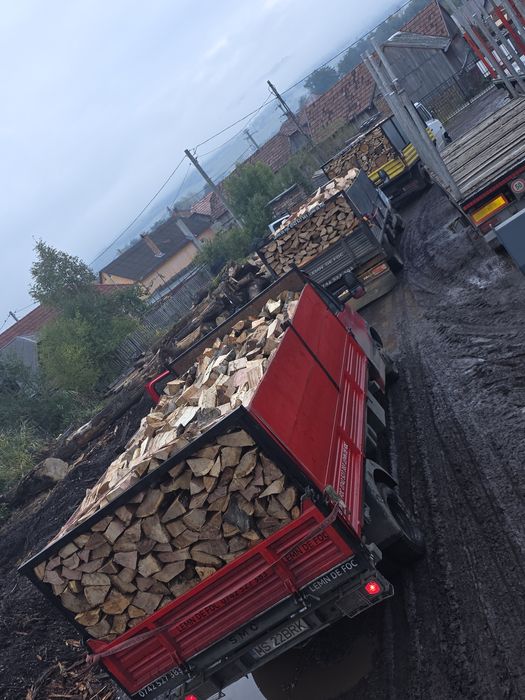 Lemne lemn de foc esență tare uscat